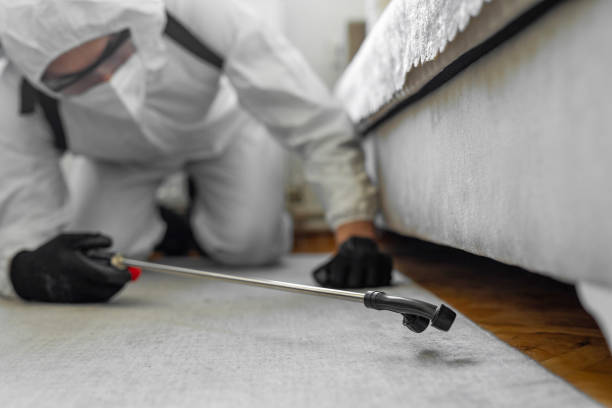 Professional Pest Control technician working in Panacea, FL