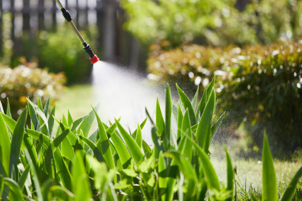 24/7 Emergency Pest Control experts in Panacea, FL